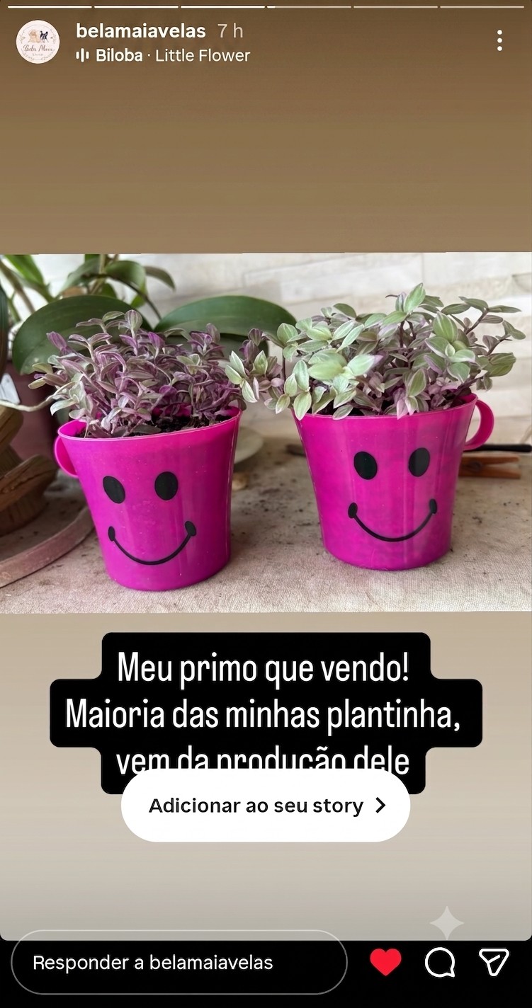 Vasinhos do Refúgio Verde compartilhados nos stories de uma cliente